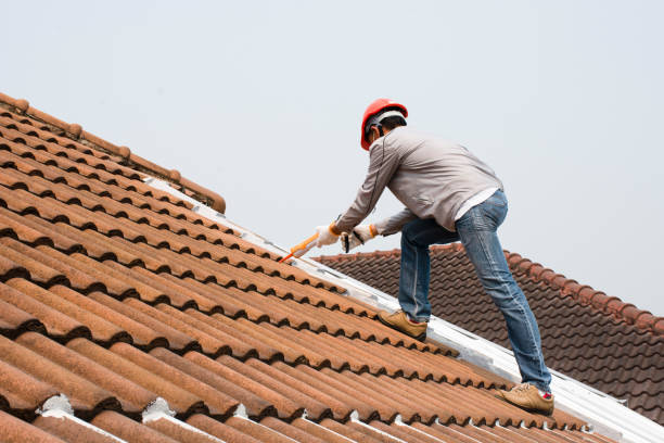 Best Green or Eco-Friendly Roofing Solutions  in Aromas, CA
