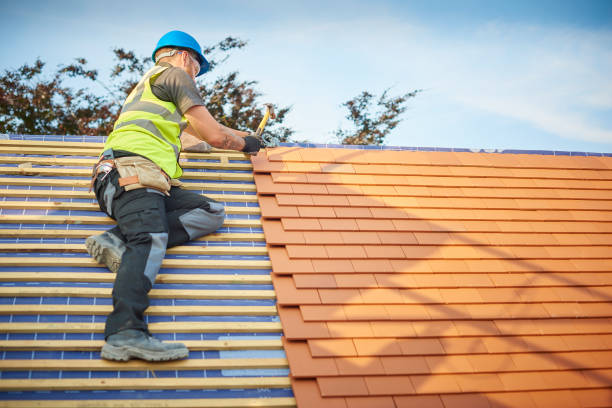 Best Roof Ventilation Installation  in Aromas, CA